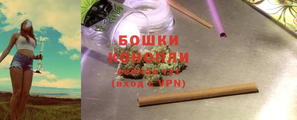 индика Беломорск