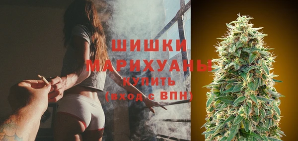 индика Беломорск