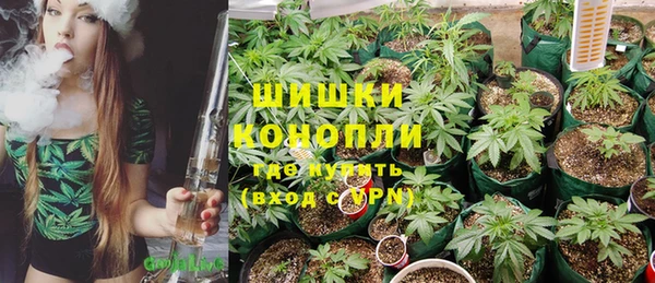 индика Беломорск
