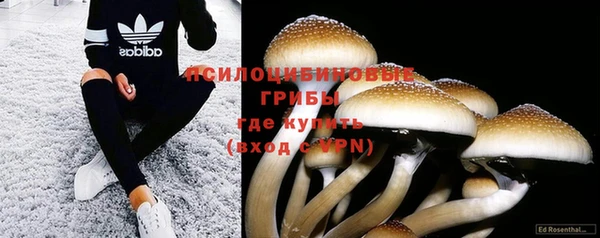 PSILOCYBIN Богородск