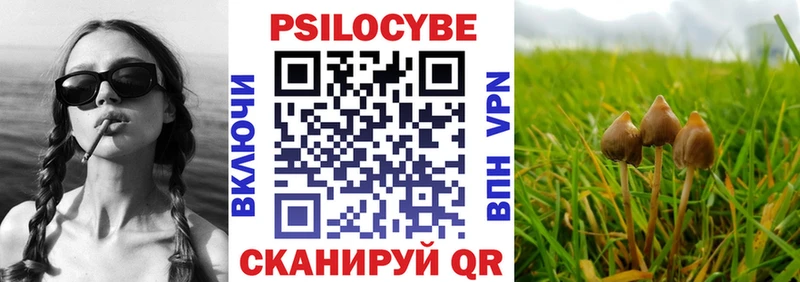 Псилоцибиновые грибы MAGIC MUSHROOMS  Великие Луки 
